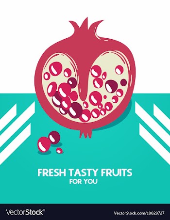 Flat Set vector image