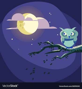 Flat Set vector image