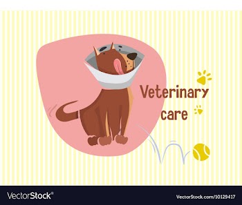 Flat Set vector image