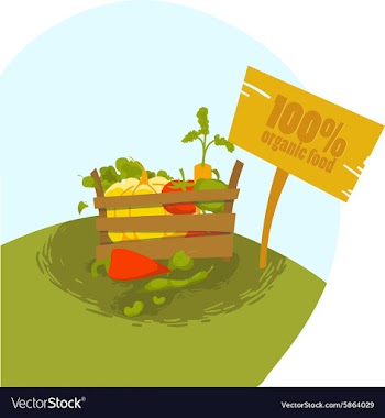 Flat Set vector image