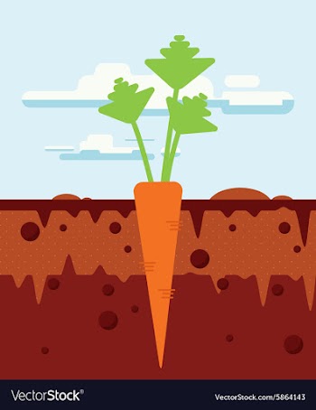 Flat Set vector image