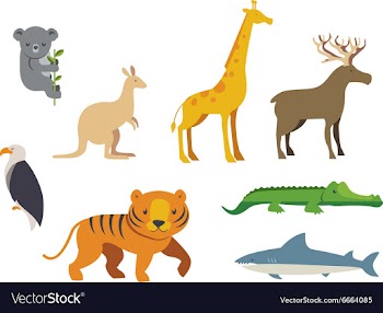 Flat set vector image