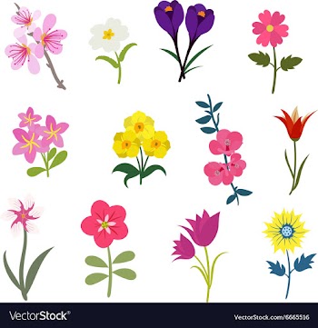 Flat set vector image