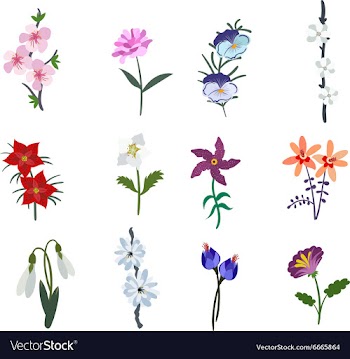 Flat set vector image