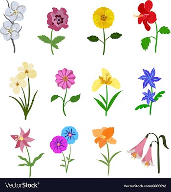 Flat set vector image