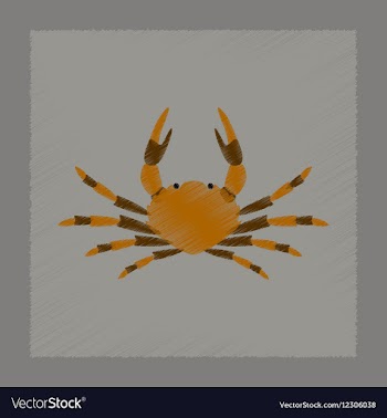 Flat shading style animal crab vector image