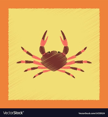 Flat shading style animal crab vector image