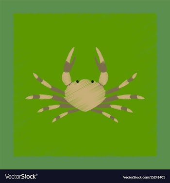 Flat shading style animal crab vector image
