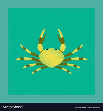 Flat shading style animal crab vector image