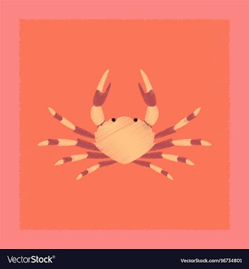Flat shading style animal crab vector image