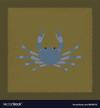 Flat shading style animal crab vector image