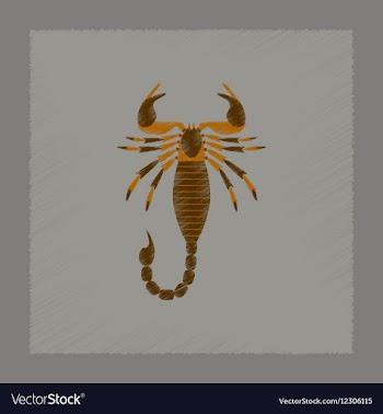 Flat shading style animal Scorpio vector image