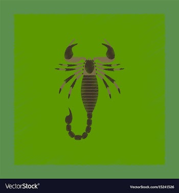 Flat shading style animal scorpio vector image