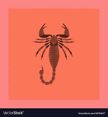 Flat shading style animal scorpio vector image