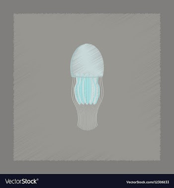 Flat shading style biology jellyfish vector image