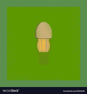 Flat shading style biology jellyfish vector image
