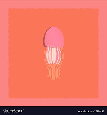 Flat shading style biology jellyfish vector image