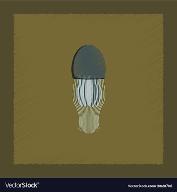 Flat shading style biology jellyfish vector image