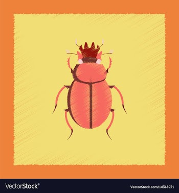Flat shading style bug scarab vector image