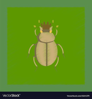 Flat shading style bug scarab vector image