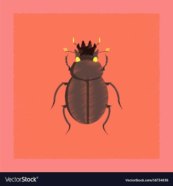 Flat shading style bug scarab vector image