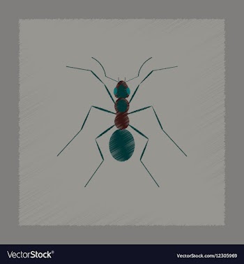 Flat shading style cartoon ant vector image