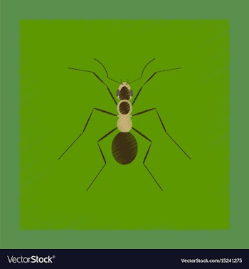 Flat shading style cartoon ant vector image