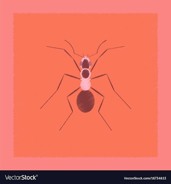Flat shading style cartoon ant vector image