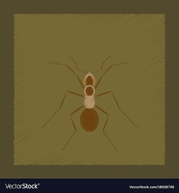 Flat shading style cartoon ant vector image