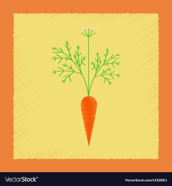 Flat shading style daucus carota vector image