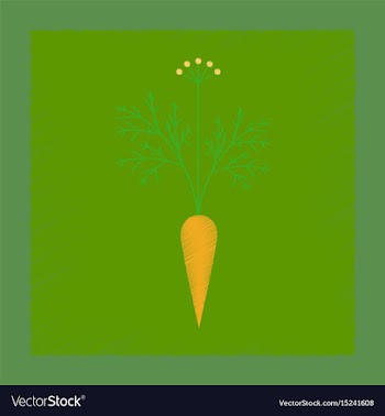 Flat shading style daucus carota vector image