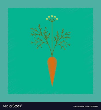 Flat shading style daucus carota vector image