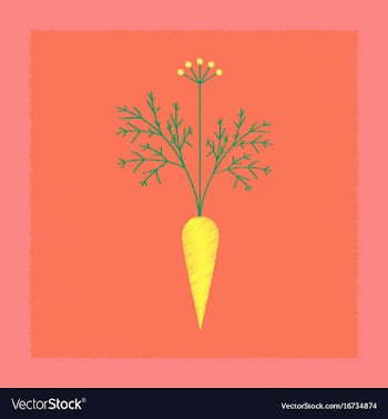 Flat shading style daucus carota vector image