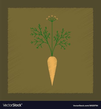 Flat shading style daucus carota vector image