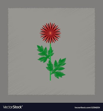 Flat shading style flower aster vector image