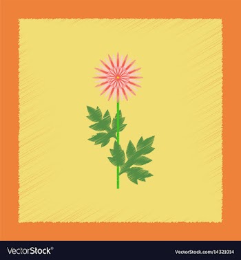 Flat shading style flower aster vector image