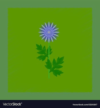 Flat shading style flower aster vector image
