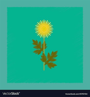 Flat shading style flower aster vector image