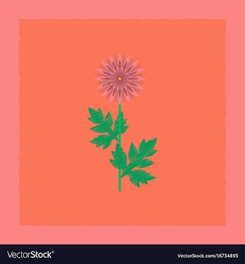 Flat shading style flower aster vector image