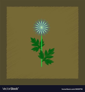 Flat shading style flower aster vector image