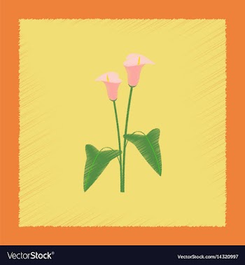 Flat shading style flower calla vector image