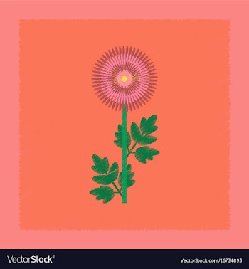 Flat shading style flower chrysanthemum vector image