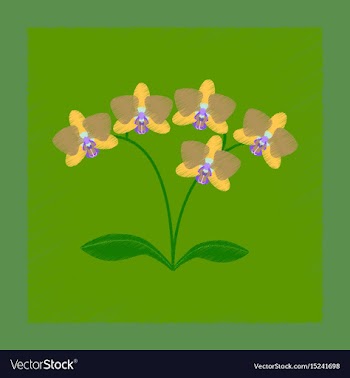 Flat shading style flower orhidaceae vector image