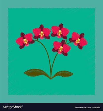 Flat shading style flower orhidaceae vector image