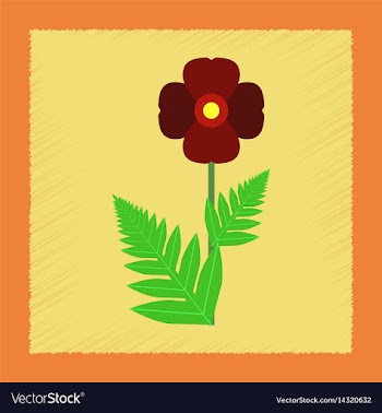 Flat shading style flower papaver vector image