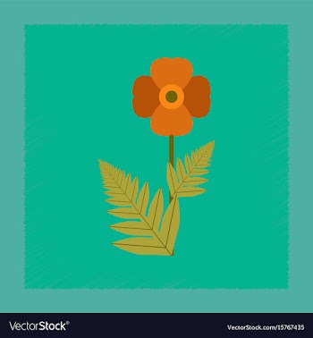 Flat shading style flower papaver vector image