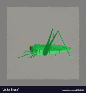 Flat shading style grasshopper vector image