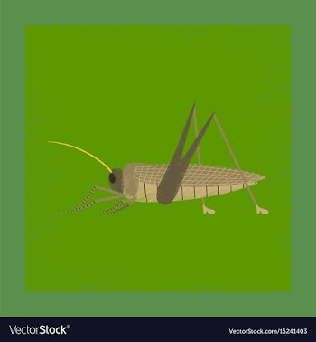 Flat shading style grasshopper vector image