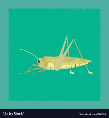 Flat shading style grasshopper vector image