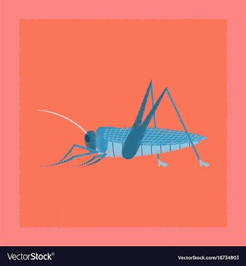 Flat shading style grasshopper vector image